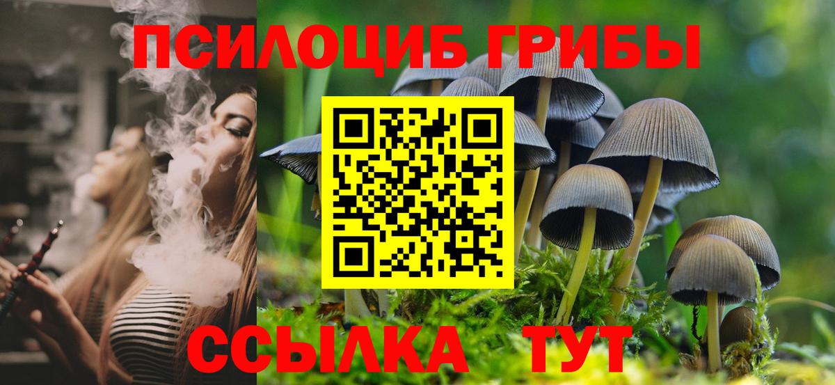 Обь  Галлюциногенные грибы Cubensis  Галлюциногенные грибы Magic Shrooms  Вход с VPN 